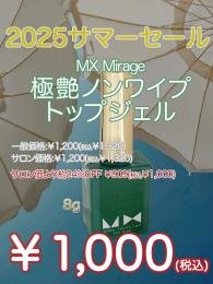 2025 サマーセール ￥1,000均一 極艶ノンワイプトップジェル 8g
