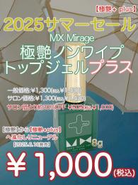 2025 サマーセール ￥1,000均一 極艶ノンワイプトップジェル プラス 8g