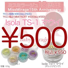 2026感謝祭 『￥500均一』BM Isolaイゾラ  TS-1 マウイ 0.5g